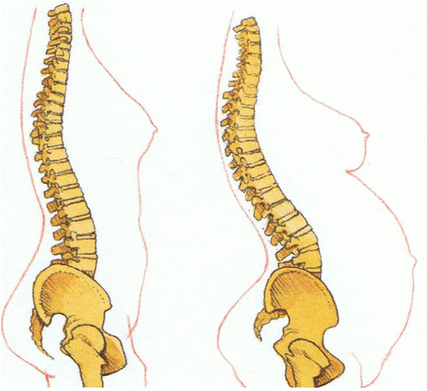 dor nas costas gravidez